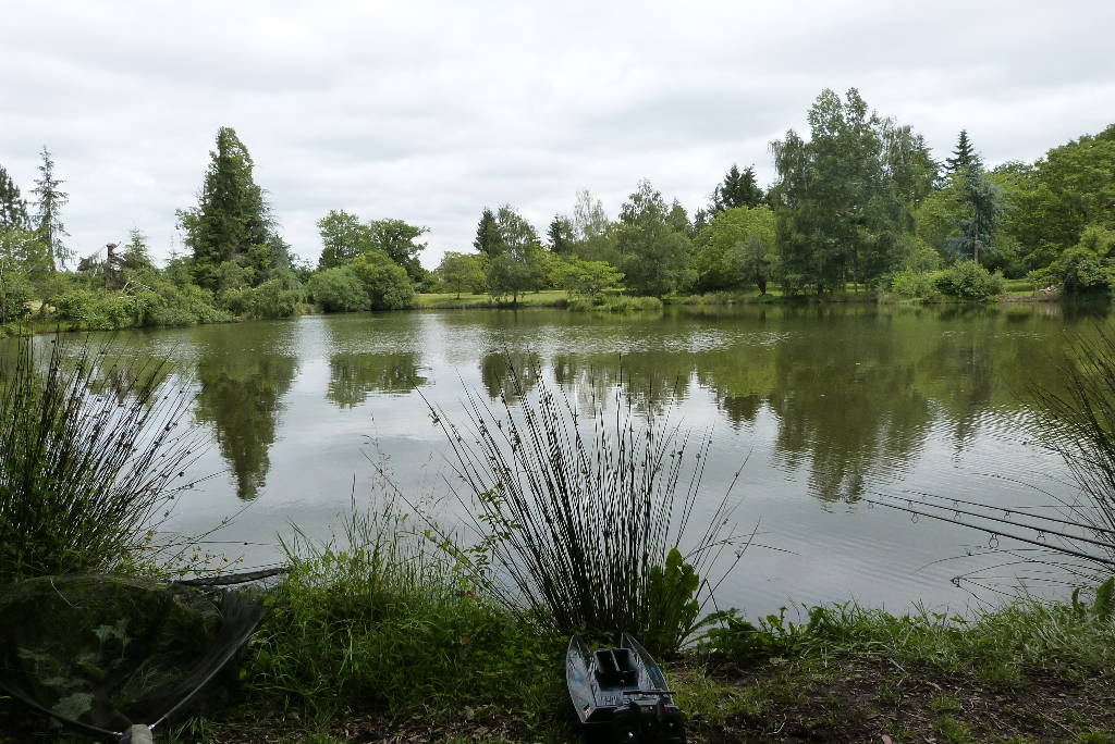 A grey day at Woodpecker - Fishing Lakes France